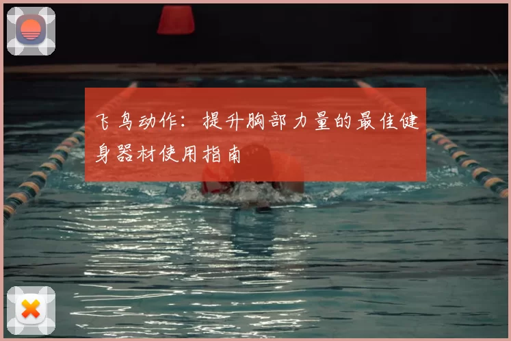 飞鸟动作:提升胸部力量的最佳健身器材使用指南