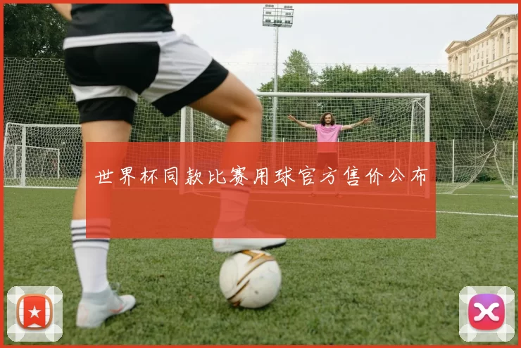 世界杯同款比赛用球官方售价公布