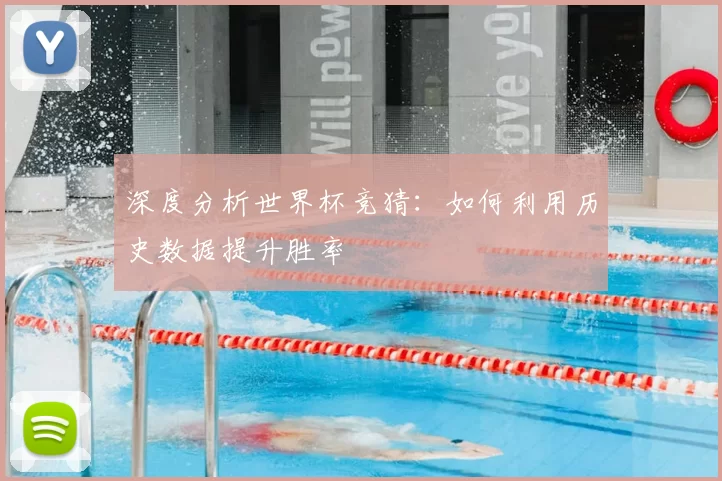 深度分析世界杯竞猜：如何利用历史数据提升胜率