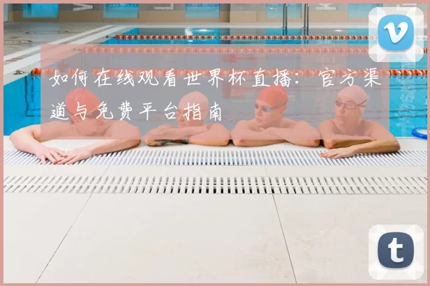 如何在线观看世界杯直播：官方渠道与免费平台指南