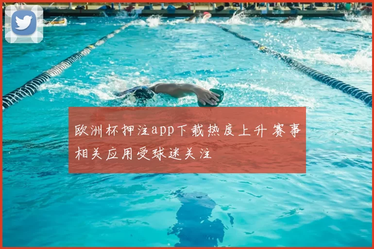 欧洲杯押注app下载热度上升 赛事相关应用受球迷关注
