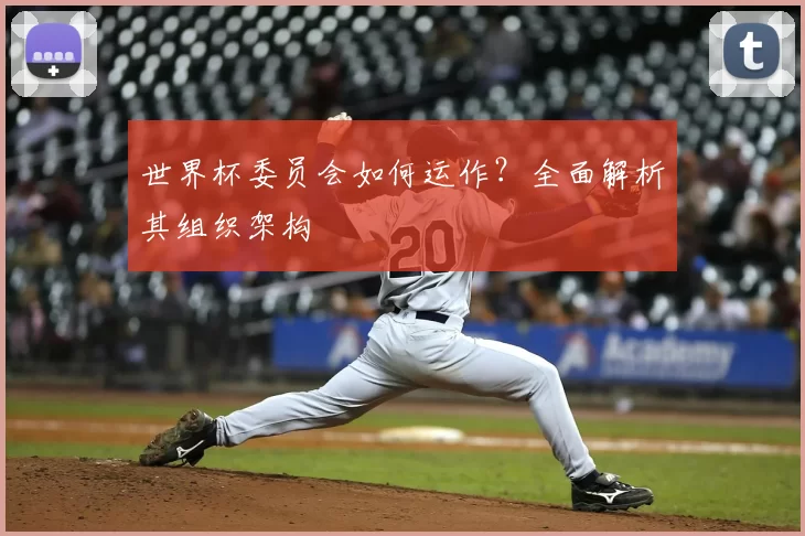 世界杯委员会如何运作?全面解析其组织架构
