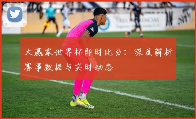 大赢家世界杯即时比分:深度解析赛事数据与实时动态