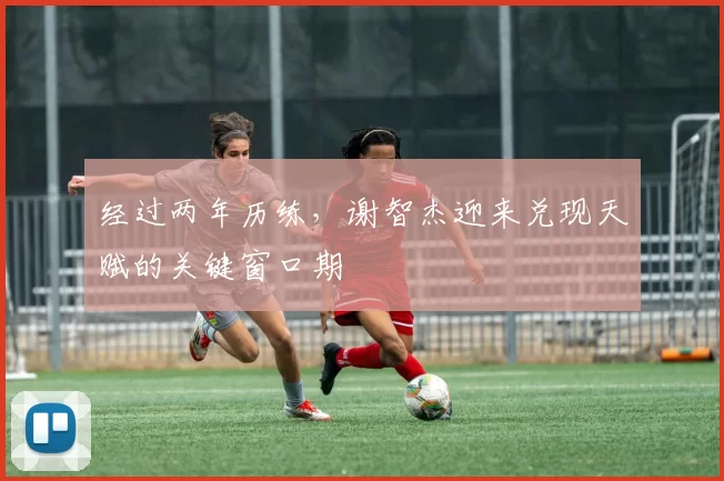 经过两年历练，谢智杰迎来兑现天赋的关键窗口期