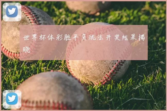 世界杯体彩胜平负玩法开奖结果揭晓