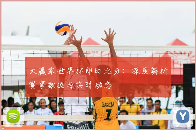 大赢家世界杯即时比分:深度解析赛事数据与实时动态