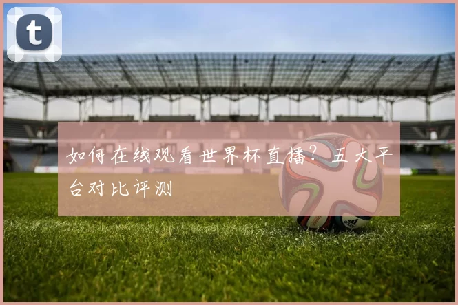 如何在线观看世界杯直播？五大平台对比评测